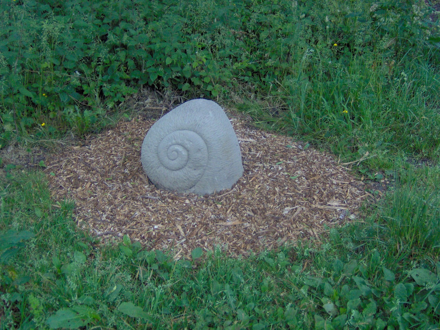 snail